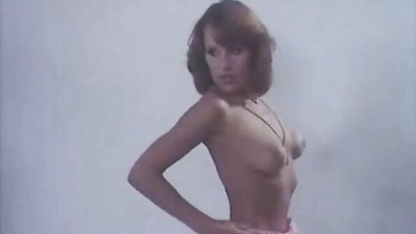 Tort və xoruz bir dəli ofis partiyasında həzz aldılar